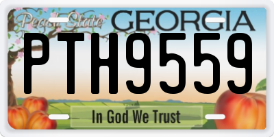 GA license plate PTH9559