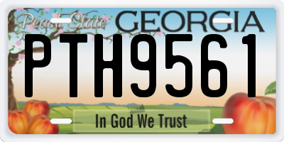 GA license plate PTH9561