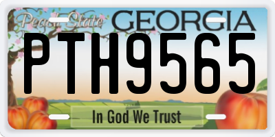 GA license plate PTH9565