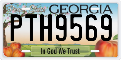 GA license plate PTH9569