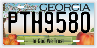GA license plate PTH9580