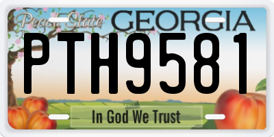 GA license plate PTH9581