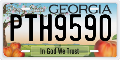 GA license plate PTH9590
