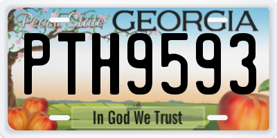 GA license plate PTH9593