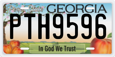 GA license plate PTH9596