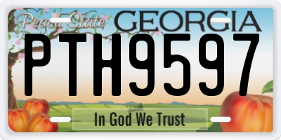 GA license plate PTH9597