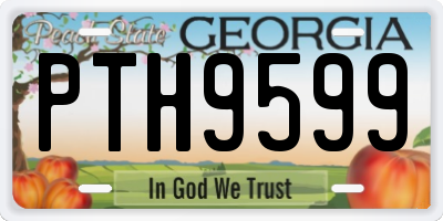 GA license plate PTH9599