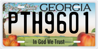 GA license plate PTH9601