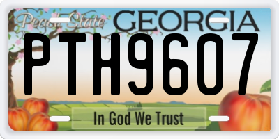 GA license plate PTH9607
