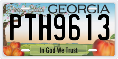 GA license plate PTH9613