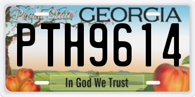 GA license plate PTH9614