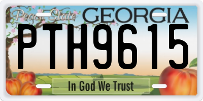 GA license plate PTH9615