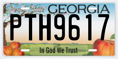 GA license plate PTH9617