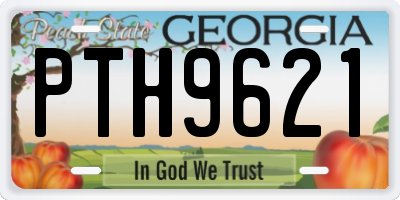 GA license plate PTH9621
