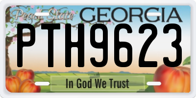 GA license plate PTH9623