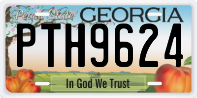 GA license plate PTH9624