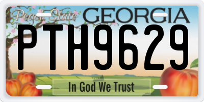 GA license plate PTH9629
