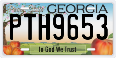 GA license plate PTH9653
