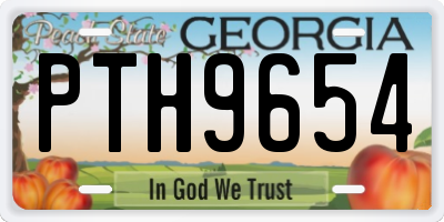 GA license plate PTH9654