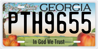 GA license plate PTH9655