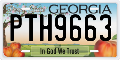 GA license plate PTH9663