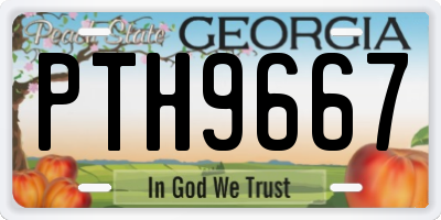 GA license plate PTH9667