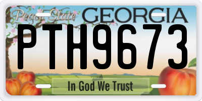 GA license plate PTH9673