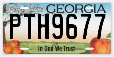GA license plate PTH9677