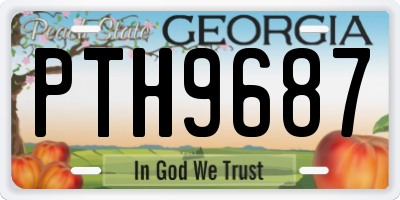 GA license plate PTH9687