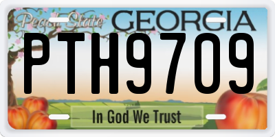 GA license plate PTH9709