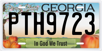 GA license plate PTH9723