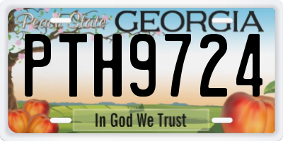 GA license plate PTH9724