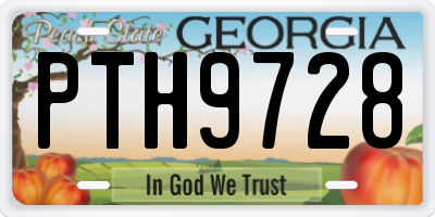 GA license plate PTH9728