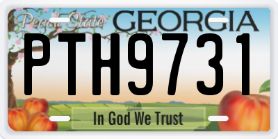 GA license plate PTH9731