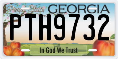 GA license plate PTH9732