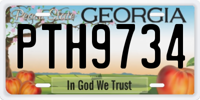 GA license plate PTH9734