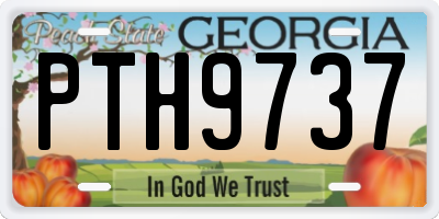 GA license plate PTH9737