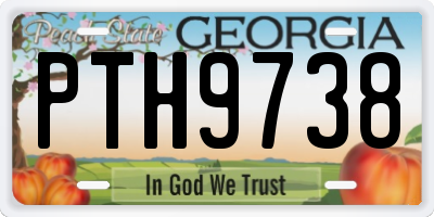 GA license plate PTH9738