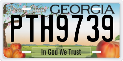 GA license plate PTH9739
