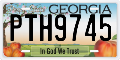 GA license plate PTH9745