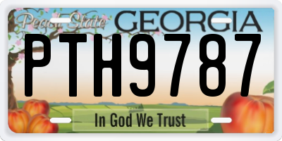 GA license plate PTH9787