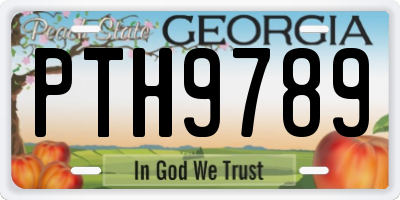 GA license plate PTH9789