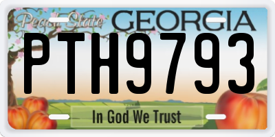 GA license plate PTH9793