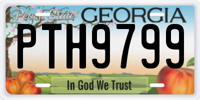 GA license plate PTH9799