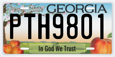 GA license plate PTH9801
