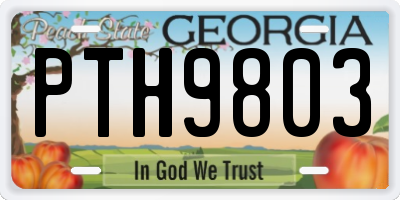 GA license plate PTH9803