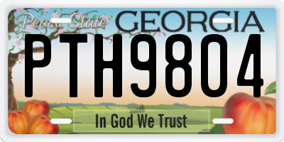 GA license plate PTH9804