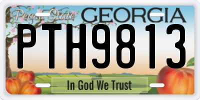 GA license plate PTH9813