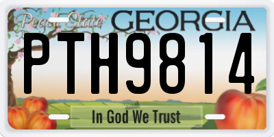 GA license plate PTH9814