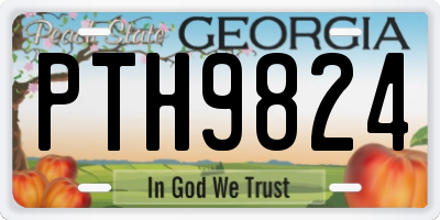 GA license plate PTH9824